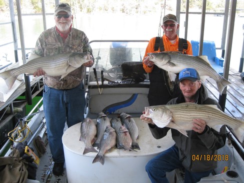 Nice Striped Bass
